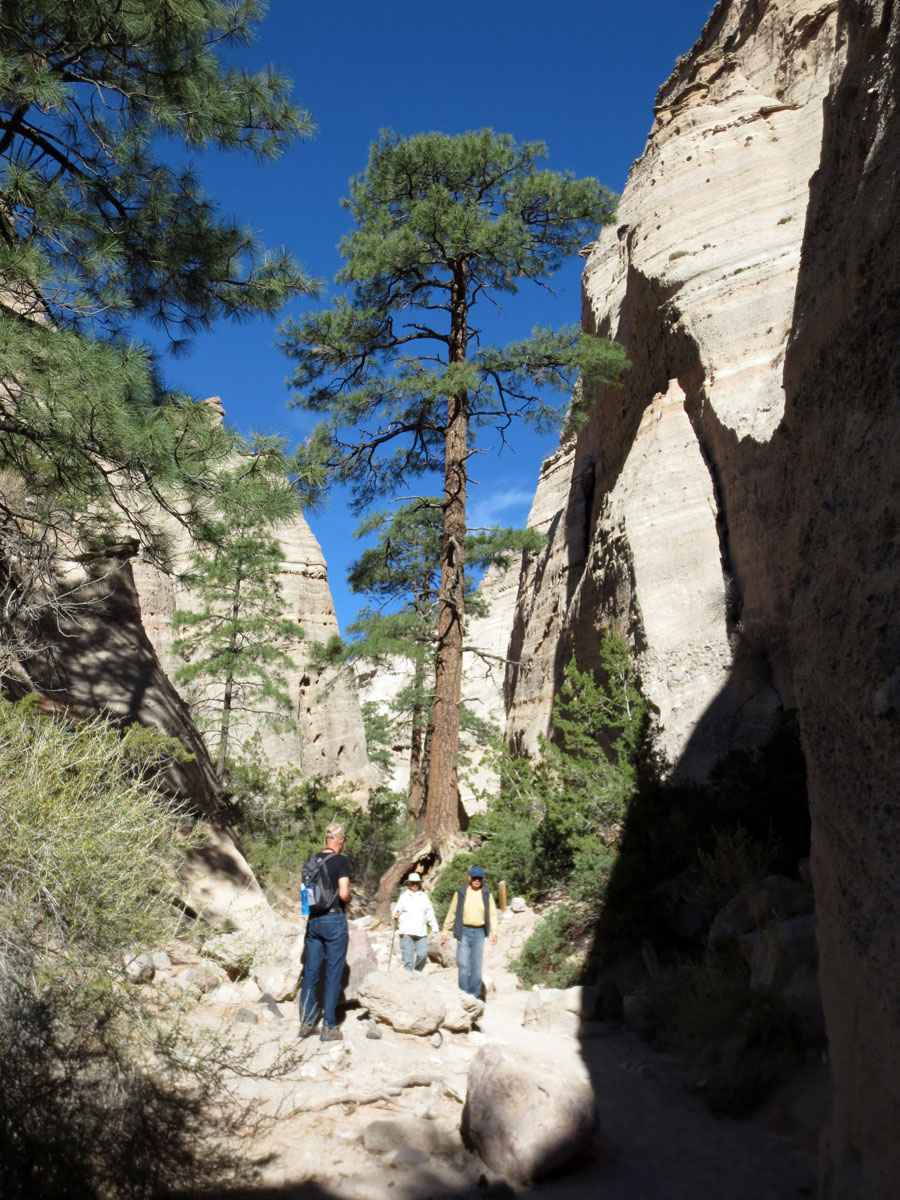 Hiking by Susan Fluegel